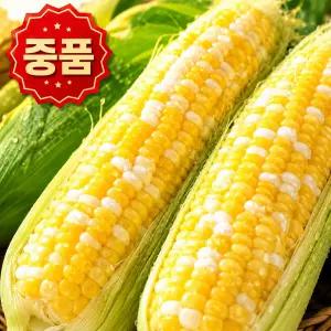 100% 국내산 쫀득 아삭 당도보장 달콤한 19brix 초당옥수수 중품 10개