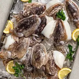 밥도둑푸드 국내산 제철 갑오징어 500g