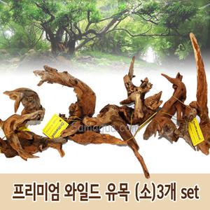 프리미엄 와일드 유목 (소) 3개 set/수초/어항/장식/가지유목/모스/열대어/구피/활착유목/천연유목