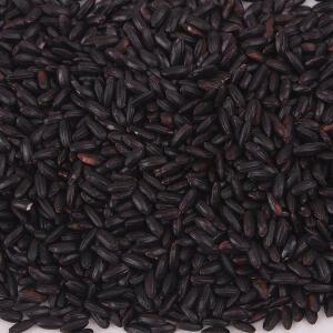 찰진주1kg 검정약쌀 25년산 진도산 찹쌀흑미