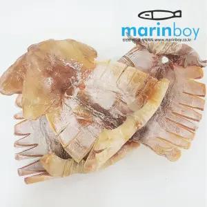 몸통오징어 500g 마른오징어(원양산)