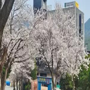 [충남] 동학사 프라하(충남모텔/공주모텔/공주동학사 프라하)