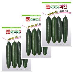 [아시아종묘]씨앗 오이 아시아미인 50립 3ea
