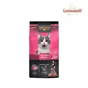 레오나르도 라이트 1.8kg