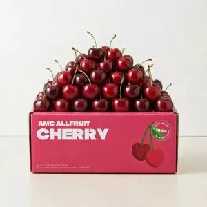 [품질보장] 매일통관 직수입 워싱턴 항공 체리 9.5R 특대과 1kg