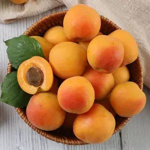 당도보장 새콤달콤 부드럽고 맛있는 경북 햇 살구 노지살구 1~2kg