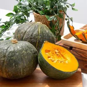 [더조은] 제주 보우짱 미니 밤호박 (못난이 랜덤과) 8kg