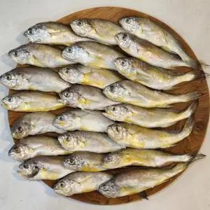 국내산 산더미 생물 참조기 3kg