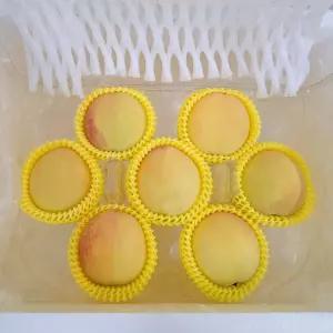 그린황도 복숭아 특품 1kg 4~6과 내외 고당도 과일간식