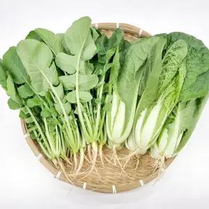 사계절청년농부 포천 어린 열무 얼갈이, 열무 1kg + 얼갈이 1kg