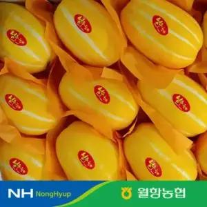 [농할] 월항농협 성주참외 가정용 12brix 이상 2kg/3kg/5kg/10kg