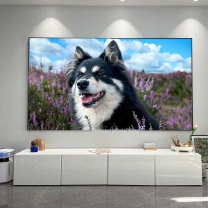 유압식스크린 최신 ALR CLR 블랙 다이아몬드 프로젝터 스크린 주변광 차단 경량 프레임 스크린 스로우 프로젝터용