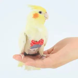 앵무새 기저귀 배변 옷 산책용 외출복