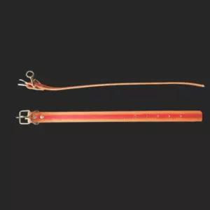 밸트 개 목줄 30mm 50cm 애견목걸이반려견목걸이 애견목걸이 애완견목걸이 강