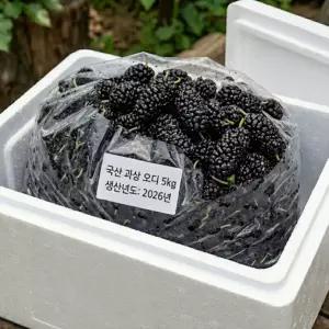 100% 국산 햇 오디 과상오디 5kg