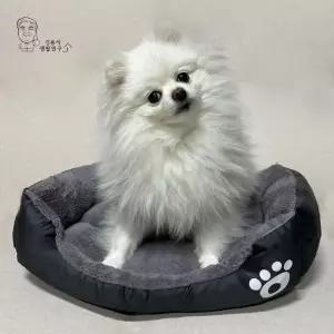 강아지 사각 방석 고양이 쿠션 극세사 애견 반려견 방석 애견용품 (WE35E0B)