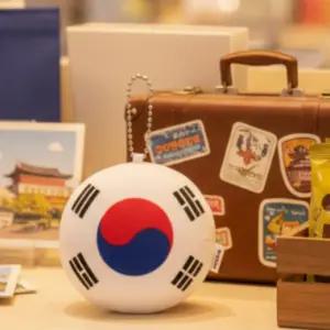 대한민국 태극기 쿠션 키링 응원용품 축구 야구 국가대표 굿즈 가방 장식 인형 기념품