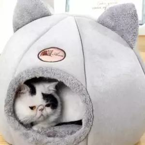 귀 달린 반밀폐 귀 고양이 집 포근한 고양이 하우스