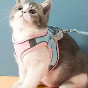 고양이 반려동물 하네스 목줄