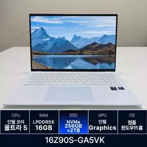 LG전자 LG그램 16Z90S-GA5VK RAM 16GB 256GB + 2TB 추가