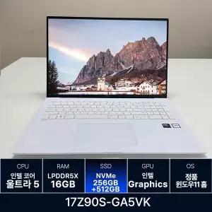 LG전자 LG그램 17Z90S-GA5VK RAM 16GB 256GB + 512GB 추가