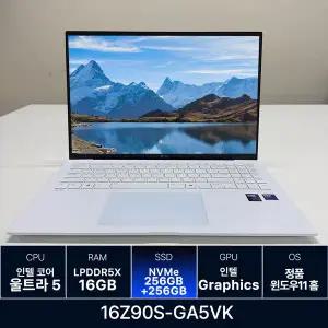 LG전자 LG그램 16Z90S-GA5VK RAM 16GB 256GB + 256GB 추가