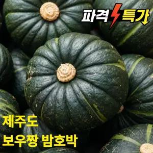 제주 보우짱 밤호박 미니단호박 특품 로얄과 2kg 3kg 5kg