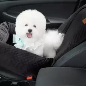 강아지 애완견 소형견 반려견 자동차 차량용 카시트 블랙
