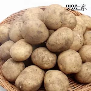 맛있는家 맛있는家 산지직송 경북 상주 맛있는 흙감자 3kg 5kg 10kg