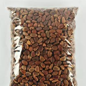국내산 태기산잣 피잣(1kg)