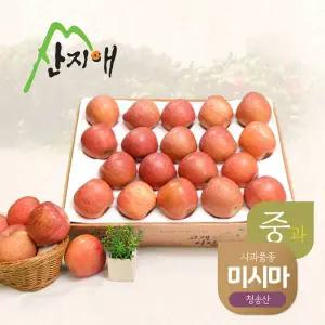 알뜰 못난이사과(중과) 4kg 1box / 당도선별, 청송산 미시마
