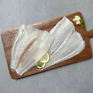 은하수산 제주산 광어 필렛 1.1kg