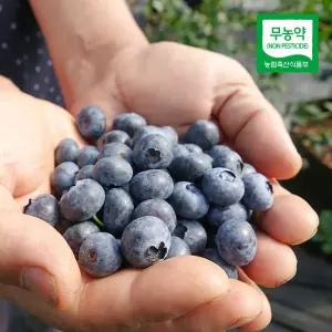 아침빛동산 친환경 블루베리 햇생과 1kg