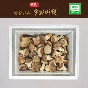 [행사]무농약 햇담송화 가정용 정품중급 1kg+건조송화 농협납품 송이향 송고버섯