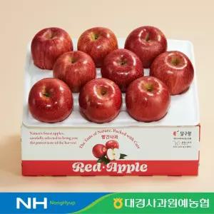 [대경사과원예농협]당도선별 햇사과 2.5kg 10과내 중과