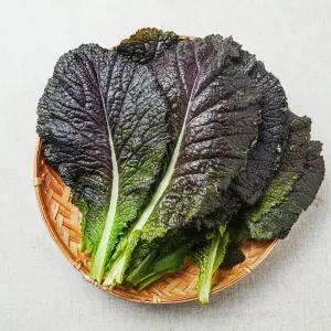 [GAP인증] 적겨자 2kg /KL