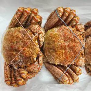싱싱햇 러시아 대왕 털게 자숙 선상 냉동 1kg