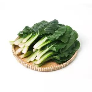의령농산 건강채소 국내산 근대 500g/1kg