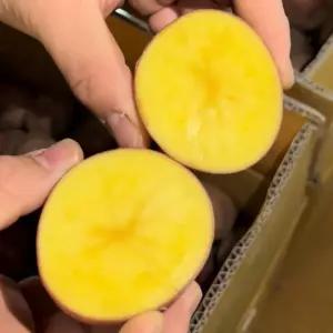 26년 햇감자 홍감자 카스테라 알감자 2kg 특