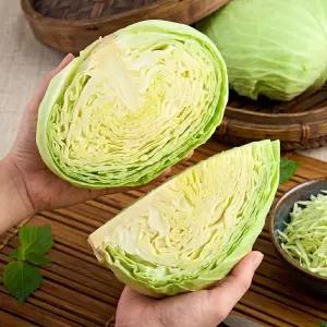 [델푸릇] 새벽경매 양배추 국내산 겉잎제거 당일손질