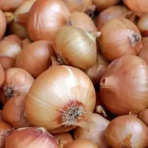 [농할] 전남 무안 양파/깐양파 1kg/2kg/3kg/5kg/10kg