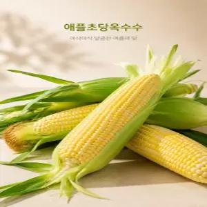 26년 햇수확 국내산 애플 초당옥수수 로얄특품(15~20cm)20개