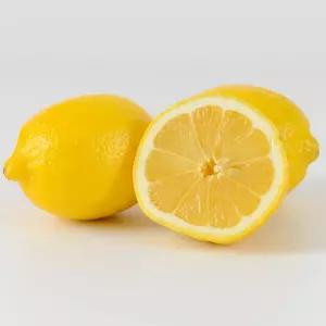 팬시 레몬 못난이 10kg