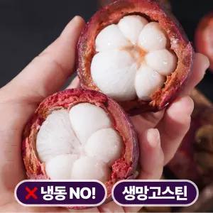 [냉동X] 고당도 프리미엄 생 망고스틴 태국산