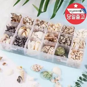생활 바다레진아트 조개만들기 자연조개 교육용 천연 18종 만들기 꾸미기 DIY 재료 레진재료 수앤서B1