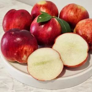바로따옴 달콤한 노지 신비복숭아 1kg
