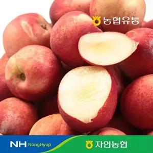 [자연에더]농협유통 경산 자인농협 신비복숭아 2kg ( 28~32과 )