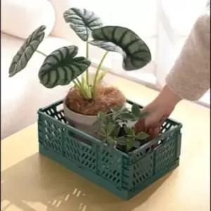 접이식 수납 박스 중형 폴딩 플라스틱 정리함 M50561 팬트리수납 플라스틱리빙박스