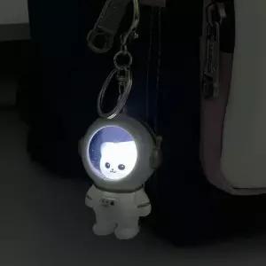 led 랜덤 열쇠고리 키체인 키홀더 가방고리 선물 판촉 인형열쇠고리 (WD9E153)