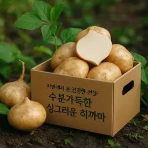 [롯데백화점]브로드아미(식품) 히카마 멕시코감자 얌빈 얌 섬유질 혈당조절 변비에좋은 슈퍼푸드-10kg